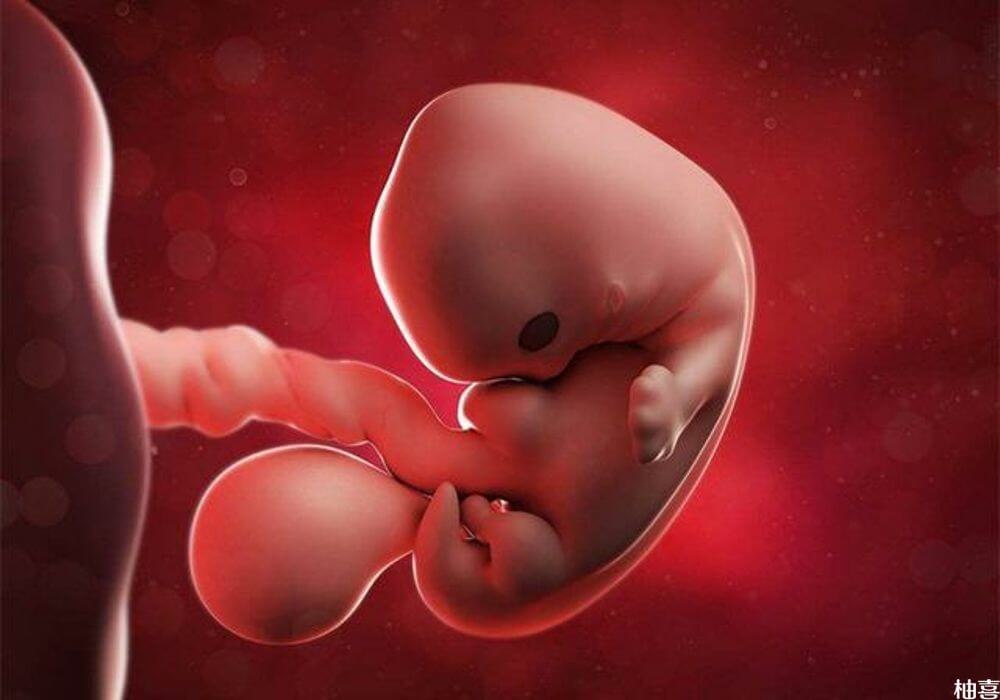 孕晚期胎停会出现胎动异常
