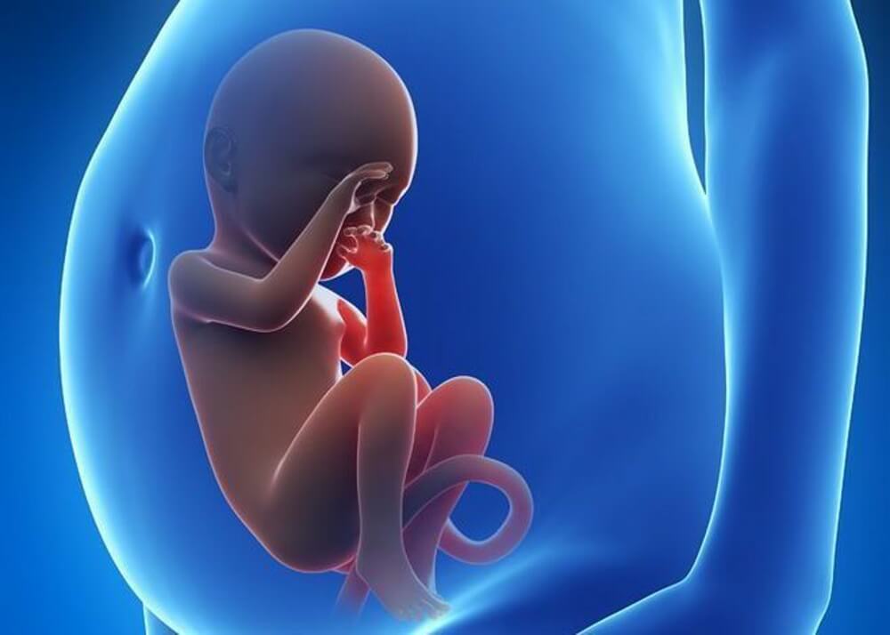 胎停前4个症状有暗示，这是宝宝的求救信号！