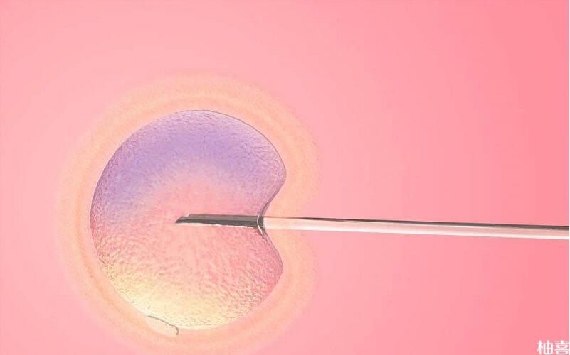 试管婴儿将精子和卵子结合形成受精卵的过程