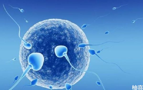 男方精子染色体异常能做三代试管怀孕吗?