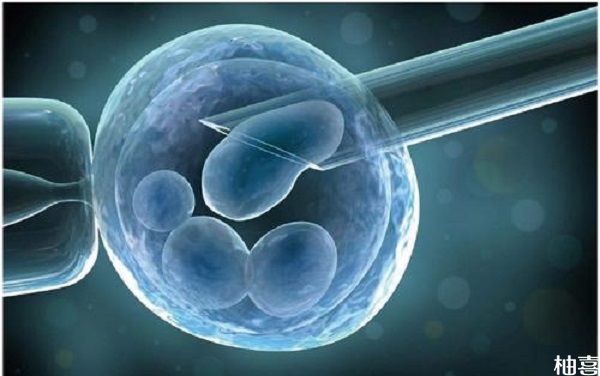 试管婴儿移植囊胚成功率比鲜胚和冻胚高吗？