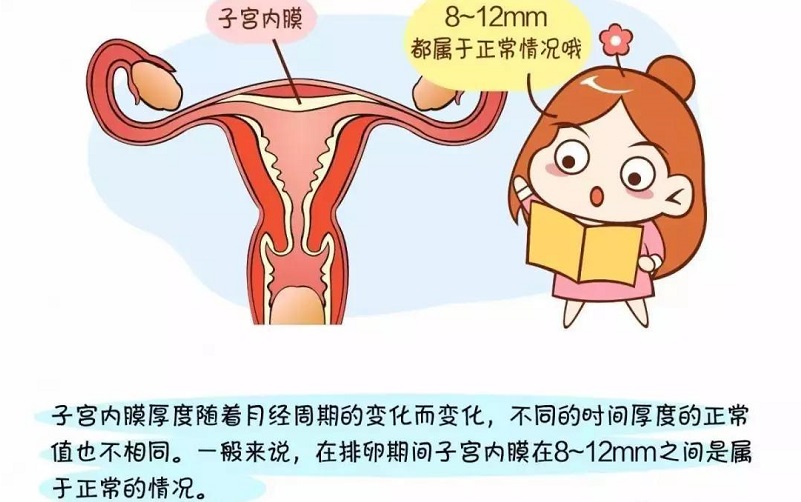 子宫内膜厚度要在8-12mm才能怀孕