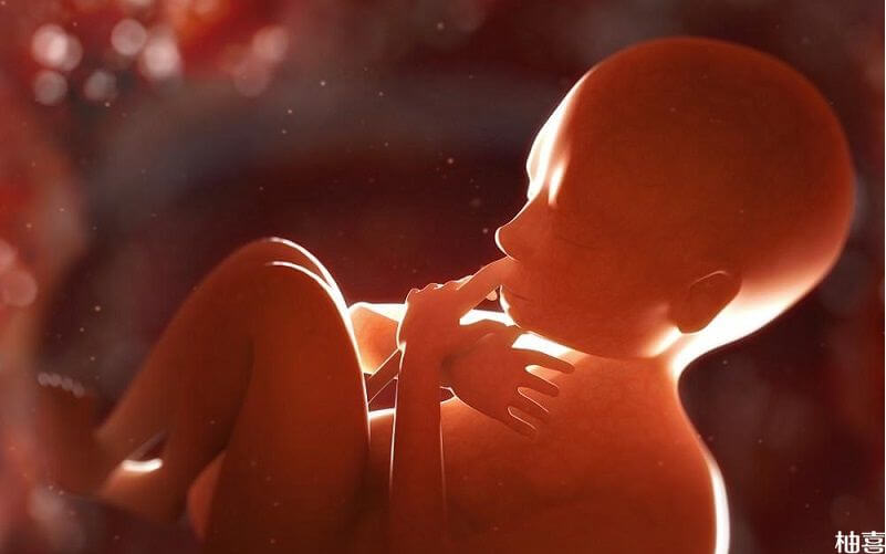子宫内膜厚度正常才能给宝宝的营养需要