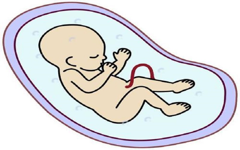 3bb的优质胚胎，在临床上成功率很高