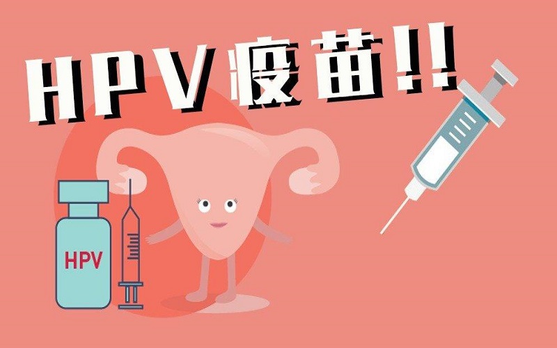 hpv疫苗可以预防很多种类的宫颈癌
