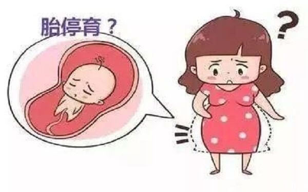 孕妇的哪三个行为容易引起胎停的情况发生？