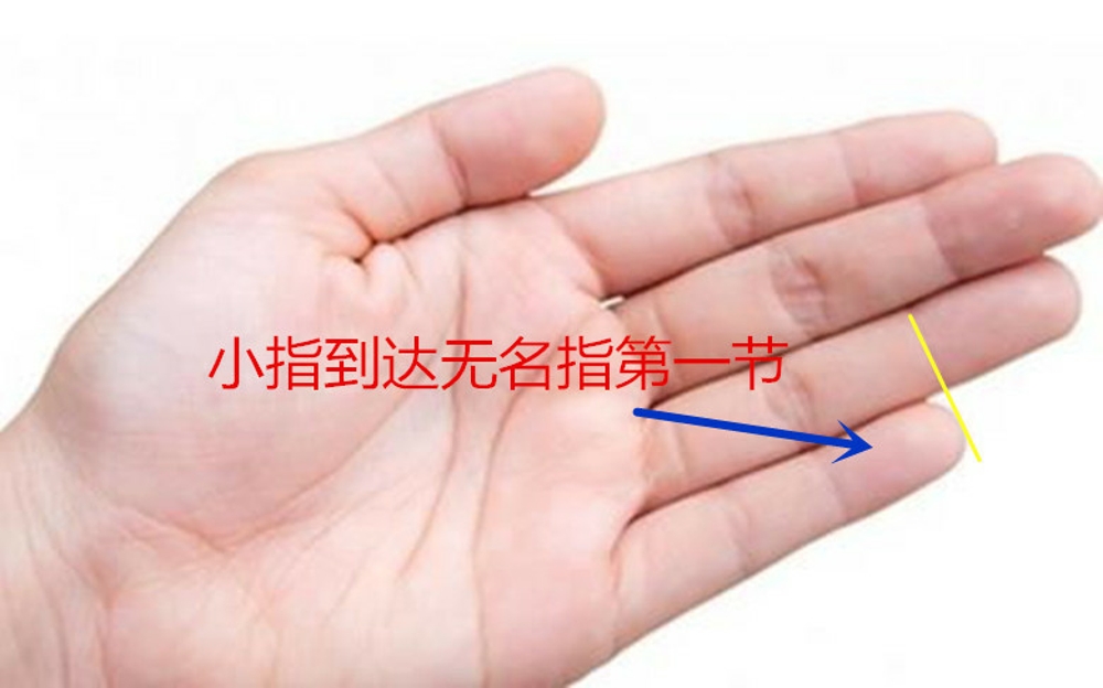 小拇指高度没到无名最上边指节代表生育能力不强