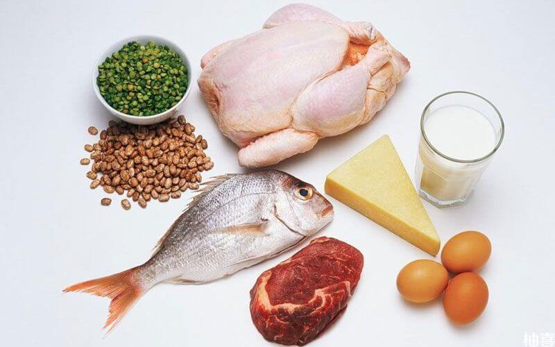 高蛋白食物可提高免疫力