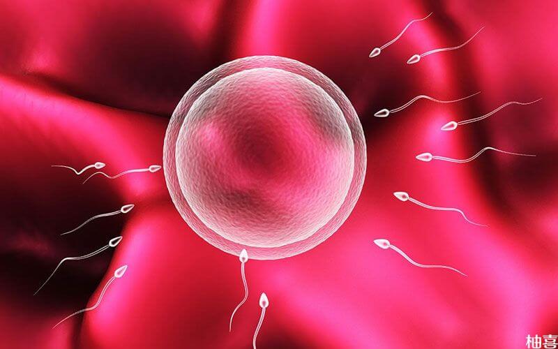 卵泡萎缩是卵子发育过程导常导致