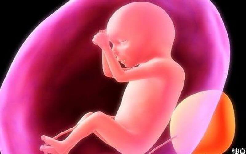 胎儿缺氧可能会造成脑瘫
