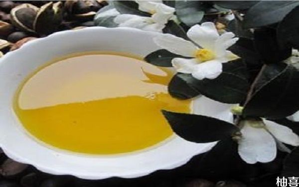 茶籽油涂在肚子上能预防妊娠纹吗?