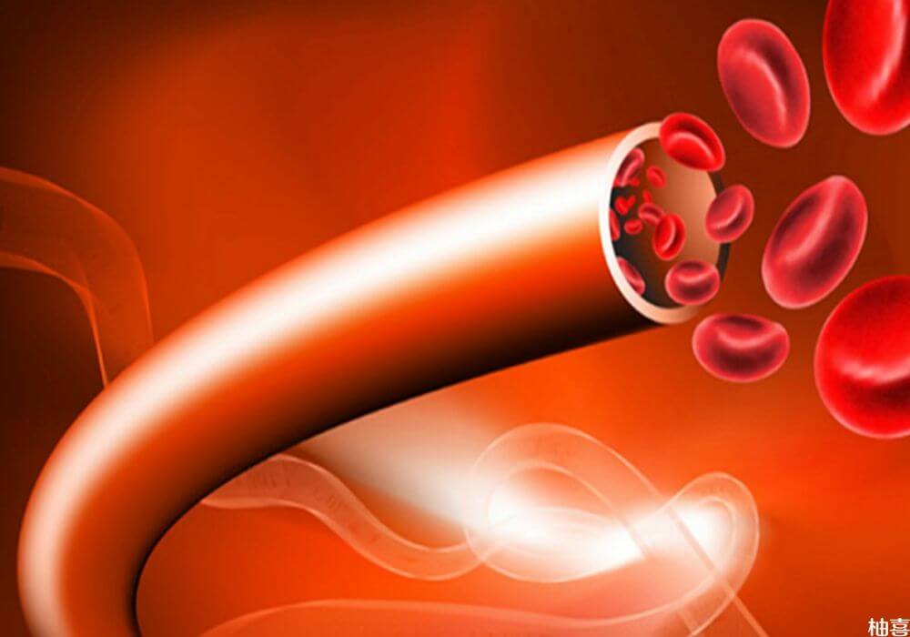研究发现脐带血中含有大量的干细胞