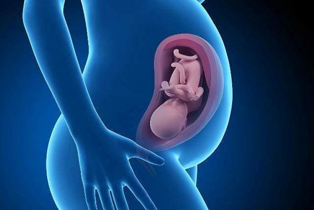 胎心率变化频繁发生了缺氧的可能性比较大
