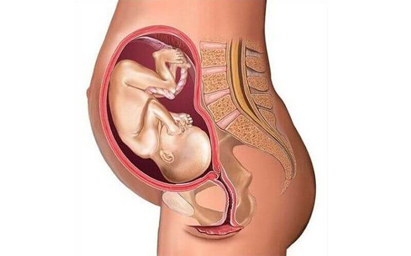 孕妈子宫底下降表现有不同