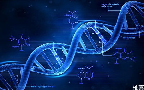 男性基因有问题，携带遗传病能做试管吗？