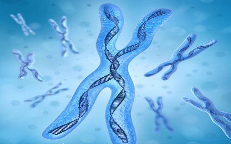 染色体三倍体是可以做三代试管婴儿的