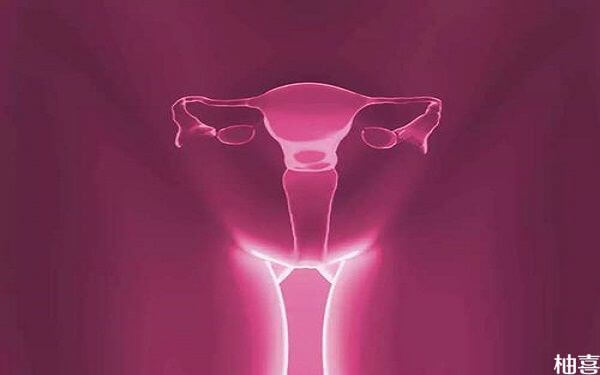 女性绝经了五年，卵巢还有卵泡是什么原因？
