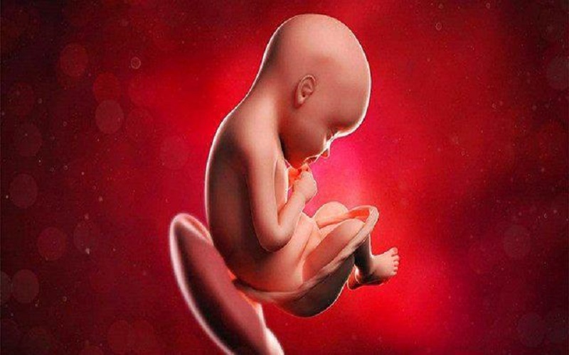 胎儿偏小四周可能因为营养问题