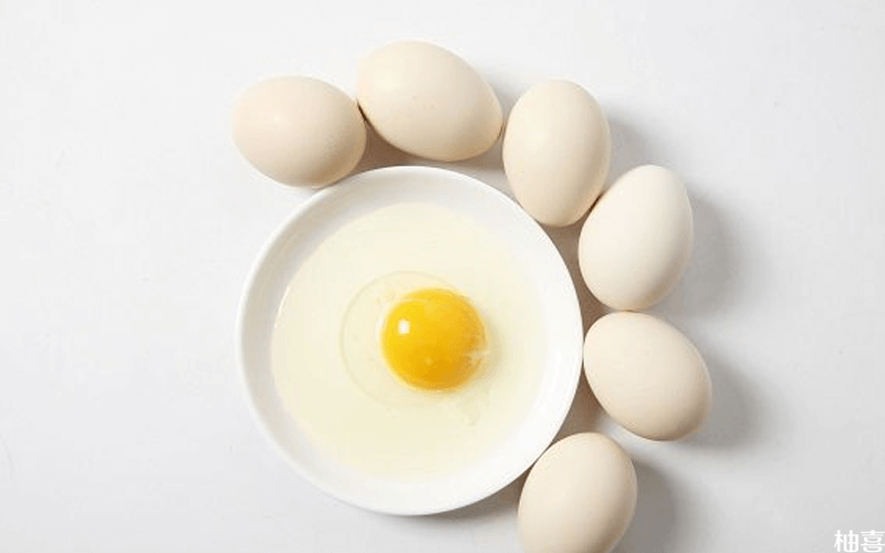 鸡蛋为高蛋白食物