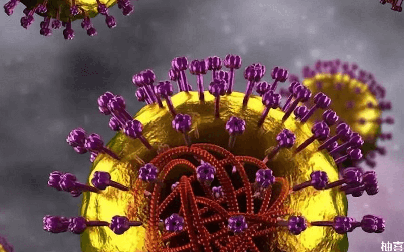 麻疹病毒传播途径