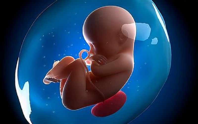 大排畸是看胎儿发育是不是有严重畸形