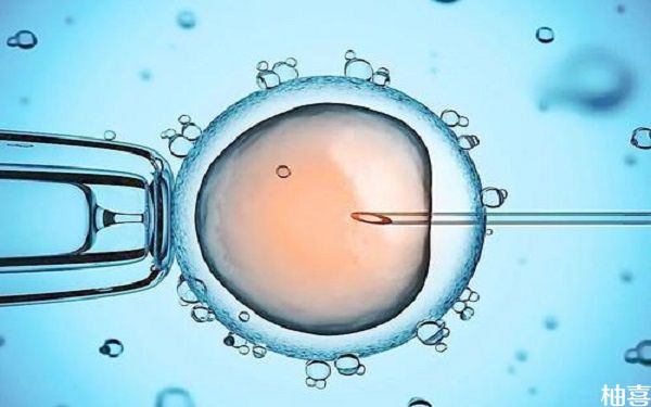 胚胎评分6、7、8分别代表质量好坏吗？