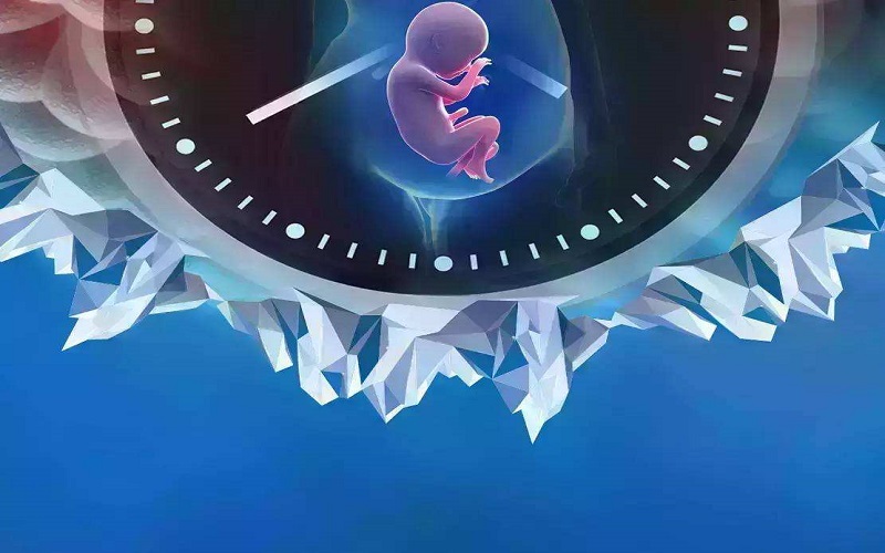 在中国做试管婴儿一般优先选择鲜胚移植