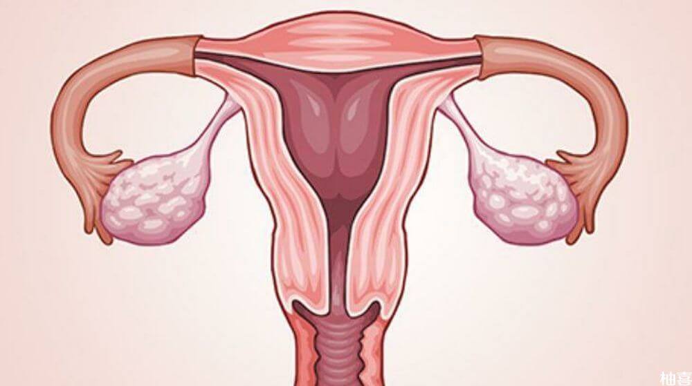 女性服用松康泉可以长子宫内膜