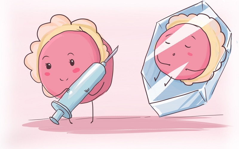 鲜胚移植和冻胚移植计算方法不同