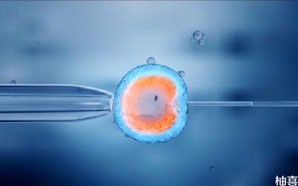6cc级别的囊胚适合试管移植吗？