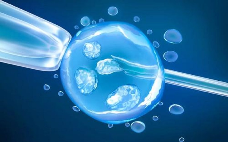 促排卵药物主要作用是促卵泡发育