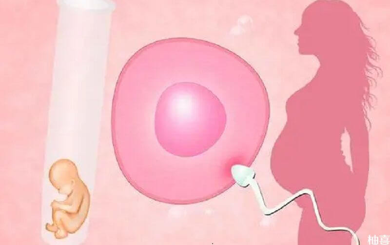 试管能囊胚移植成功怀孕后反复出血