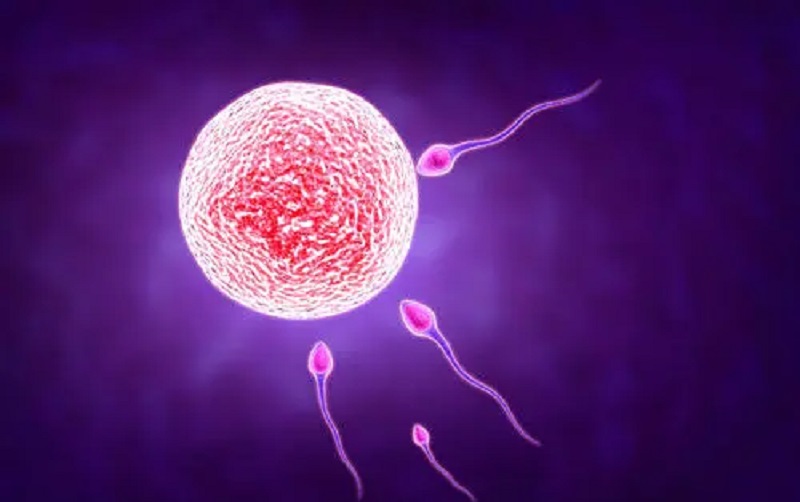卵泡质量差会影响受孕