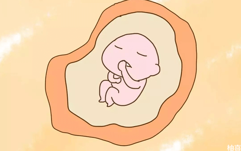 孕晚期胎儿抖动颤抖一小时