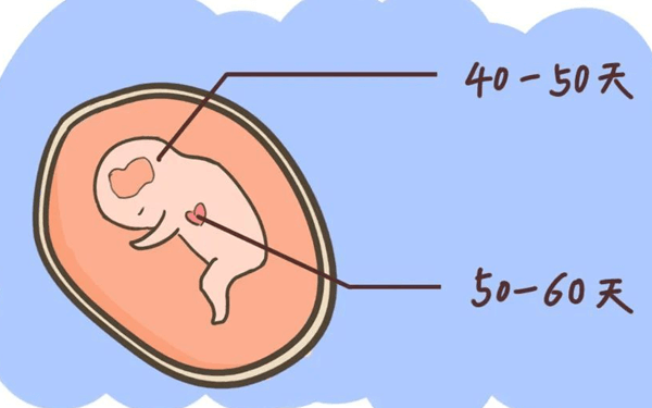 孕4-12周卵黄囊大小对照表，偏大或偏小都属于异常
