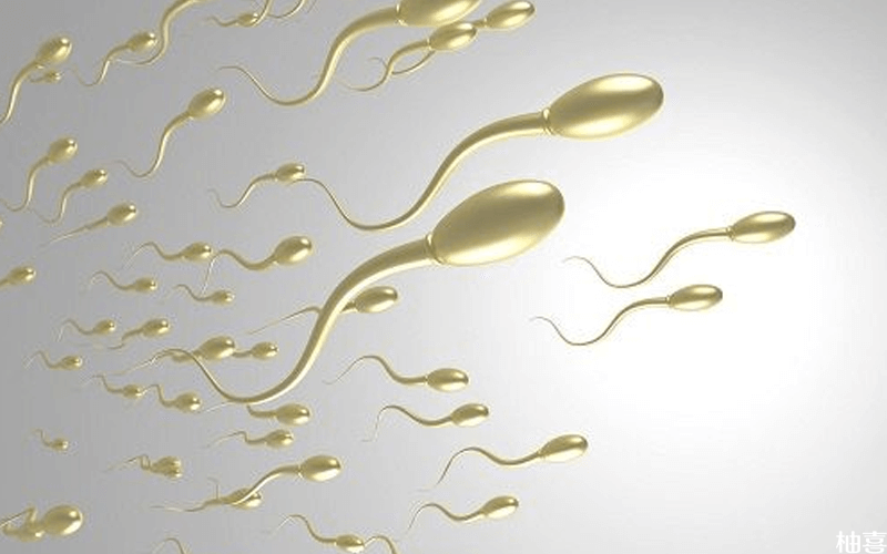 精子质量影响胚胎