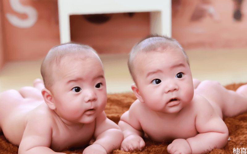 龙凤胎和双胞胎有很大的区别