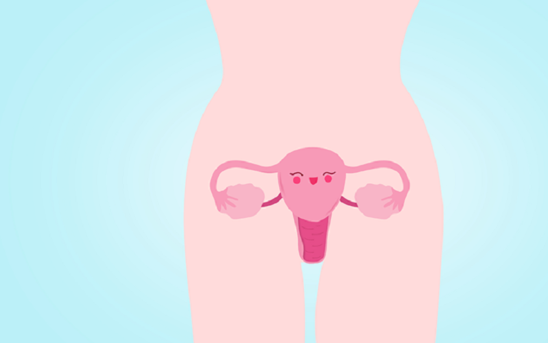 有子宫而且输卵管没有堵塞的石女做试管可以正常在卵巢取卵泡