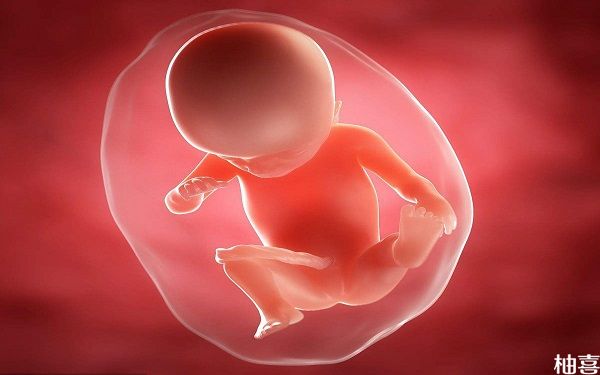孕12周胎儿b超照片怎么看五官？