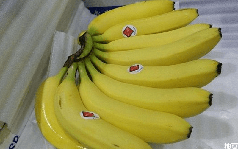 香蕉属于寒性食物、脾胃虚弱不建议吃