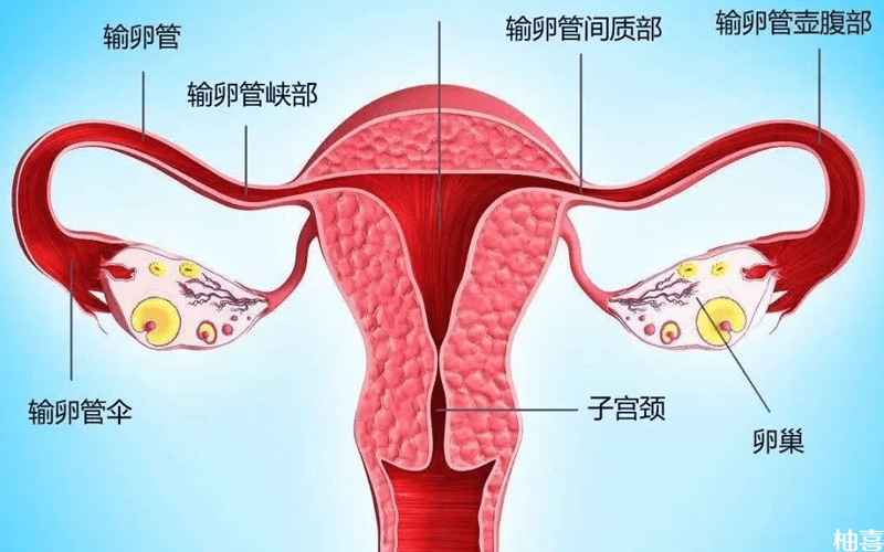 输卵管堵塞10个征兆