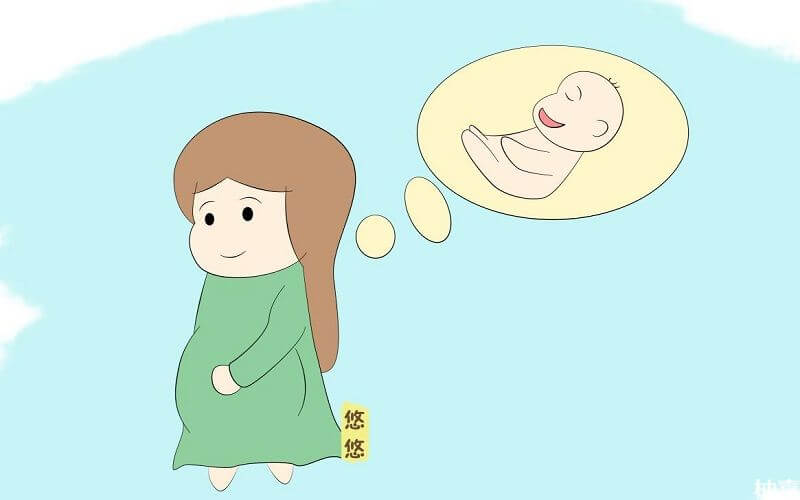 腹中趴着的胎儿可能是女孩
