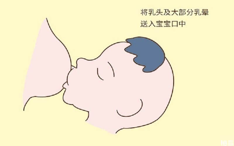 婴儿吃奶口腔内示意图图片