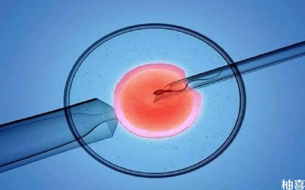 做试管移植时融合胚胎几天才能发育成囊胚？