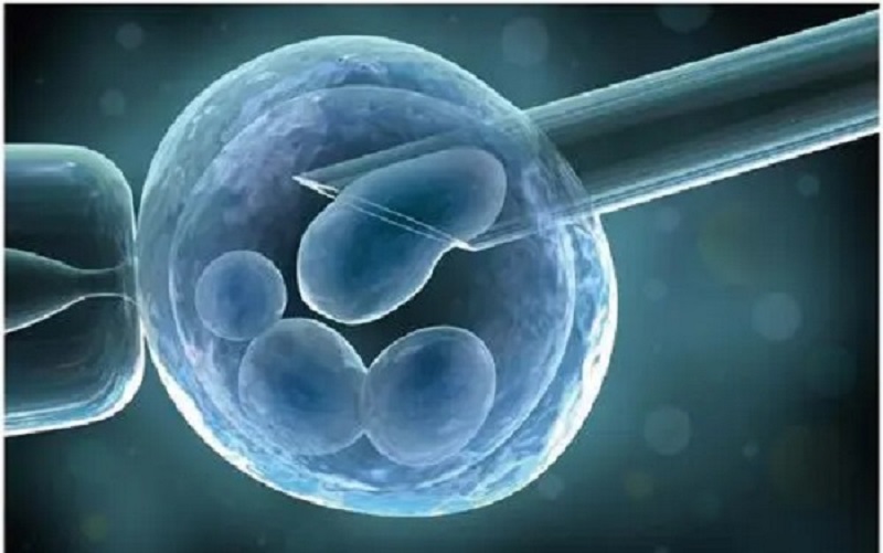 试管胚胎只放一个容易导致流产手术失败