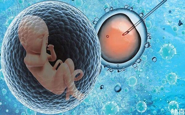 为什么移植一个高质量的囊胚容易变双胞胎？