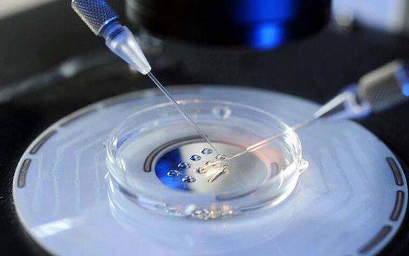 试管放2个胚胎的成活率