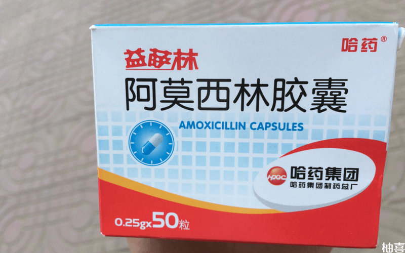 阿莫西林可以治疗解脲支原体