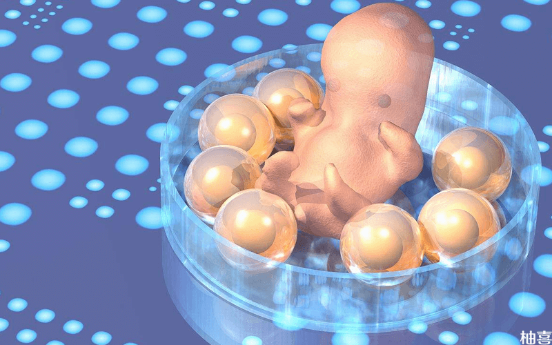 短方案移植胚胎失败后促排时间