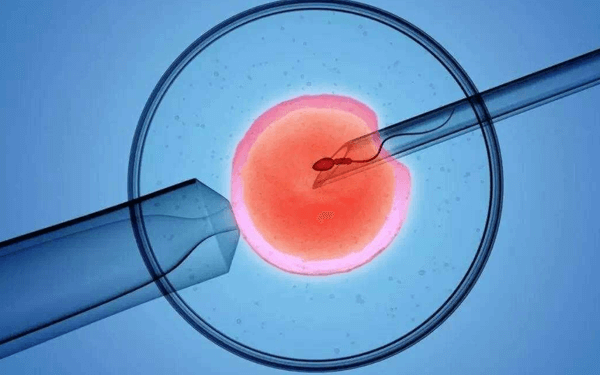 为什么试管超长方案适合移植鲜胚而不是冻胚？